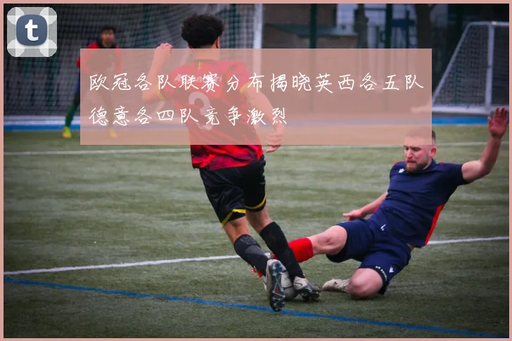 欧冠各队联赛分布揭晓英西各五队德意各四队竞争激烈